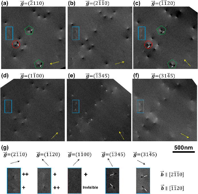 场发射菏泽扫描电镜