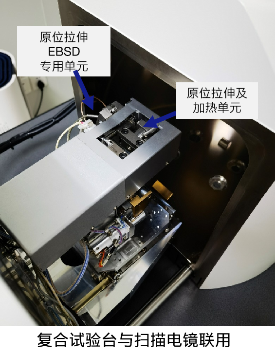 场发射菏泽扫描电镜Gemini