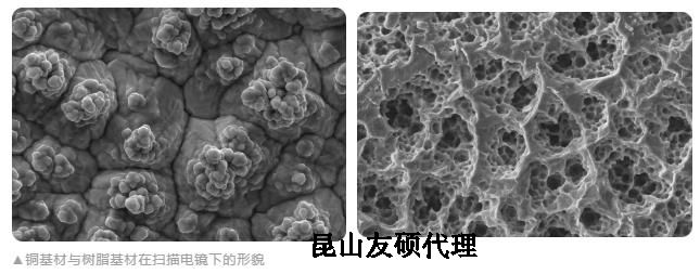 菏泽蔡司菏泽扫描电镜